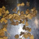 Purina - Purina One Cat indoor weight control food  - Photo 4 - update #2277741