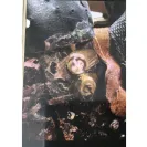 PayPal - Paypal is mishandling my dispute with a merchant - Photo 4 - update #2281381