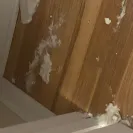 ServPro - Water remediation. - Photo 2 - comment #2323968