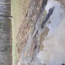 Entergy - Power restoration - Photo 1 - update #2337393