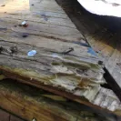 Sears - roof leaking - Photo 5 - comment #1306713
