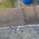 Sears - roof leaking - Photo 7 - comment #1306713