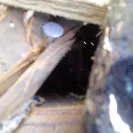 Sears - roof leaking - Photo 9 - comment #1306713