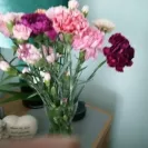 Lovely Flora World - Mother’s Day flowers not received  - Photo 1 - update #2318997