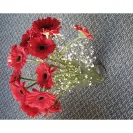 Lovely Flora World - Mothers day bouquet - Photo 1 - comment #2319179