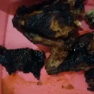 Nando's Chickenland - service sucks! - Photo 1 - comment #1980037