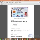 Quintin Richards - Double a 80g a4 copy paper 1600 boxes - Photo 1 - update #2356934