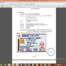 Quintin Richards - Double a 80g a4 copy paper 1600 boxes - Photo 2 - update #2356934