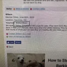 PuppyFind - scam site! - Photo 1 - comment #2080844