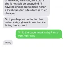 PuppyFind - scam site! - Photo 8 - comment #2083837