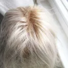 WigSalon - They Do Not Stand by their Word - Photo 2 - comment #1758272