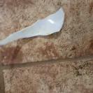Corelle Brands - hazard your health! - Photo 1 - comment #2275935