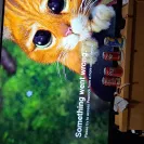 Peacock TV - There’s Something WRONG with App - Photo 1 - comment #2520736
