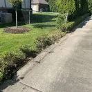 Dumpsters.com - I got two dumpsters from Dumpsters.com - Photo 1 - comment #2565817