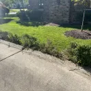 Dumpsters.com - I got two dumpsters from Dumpsters.com - Photo 2 - comment #2565817