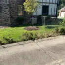 Dumpsters.com - I got two dumpsters from Dumpsters.com - Photo 3 - comment #2565817