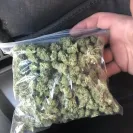 Ganja Estates - WARNING: Ganjaestate.com is a Scam - Do Not Buy from Them! - Photo 1 - comment #2448201