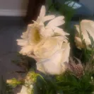 The Sympathy Store by HelloFlowers.com - Flowers for funeral service - Photo 3 - comment #2567970