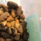Purina - Complete Adult Chicken Flavor-- Sku#017800-10025 - Photo 4 - comment #2411733