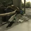Municipal Corporation of Delhi [MCD] - illegal construction - Photo 1 - comment #2047853