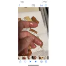 Hillshire Farm - litl Cheddar Smokies - Photo 3 - comment #2523261