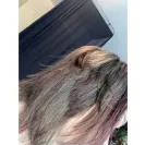 SmartStyle - Haircut  - Photo 2 - update #2463175
