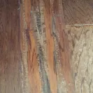 Armstrong - Denied warranty on defective discontinued flooring - Photo 1 - comment #1694192