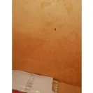 McDonald's - one of the most disgusting things I had seen in my life! - Photo 1 - comment #2232575