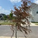 Stanley Martin Builders - Watch your money - Photo 1 - comment #2409335