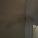 American Home Shield [AHS] - Awful company - Photo 2 - comment #2546990