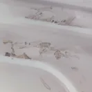 Domex - Bush washing machine - Photo 1 - update #2562966