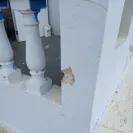 uShip - Uship trust and safety - no replies - Photo 2 - comment #2570500
