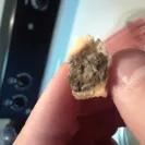 H-E-B - awful everything - Photo 3 - comment #1947411