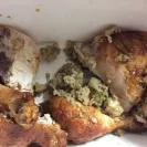 Red Rooster Foods - not good enough - Photo 1 - comment #1994110
