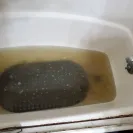MashCole Property Management - Security Deposit Refund - Photo 2 - comment #2234717