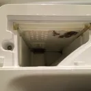 Maytag - maytag neptune washer may cause serious injury or death - Photo 2 - comment #1988877