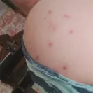 Comfort Keepers - Dangerous Home Care - Photo 1 - comment #2381117