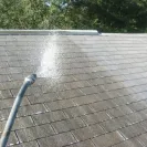 Roof-A-Cide - Doesn't work - Photo 1 - comment #1461171