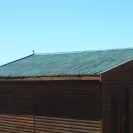 Onduline - Onduline roof sheeting - Photo 2 - comment #1367209