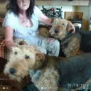 Southern Roc Airedales - poor business practices - Photo 1 - comment #1729843