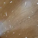 Corelle Brands - explosive plates & bowls / injury, blindness, & death - Photo 1 - comment #2158281