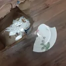 Corelle Brands - explosive plates & bowls / injury, blindness, & death - Photo 1 - comment #2255553