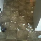 Corelle Brands - explosive plates & bowls / injury, blindness, & death - Photo 1 - comment #946234