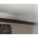 Clayton Homes - Leaking, mold - Photo 2 - comment #2288080