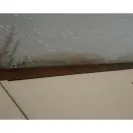Clayton Homes - Leaking, mold - Photo 3 - comment #2288080