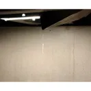 Clayton Homes - Leaking, mold - Photo 1 - comment #2288080