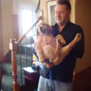 Joe Chisholm - Dog Breeder - Breeds unhealthy puppies and sells for profit - Photo 1 - comment #582960
