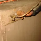 Morgan Properties - in pa landlord can attach wages! - Photo 1 - update #568503
