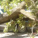 State Farm - they are calling me a liar! - Photo 1 - update #414751