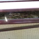 LeafGuard Holdings - Waste of money - Photo 2 - comment #2232619